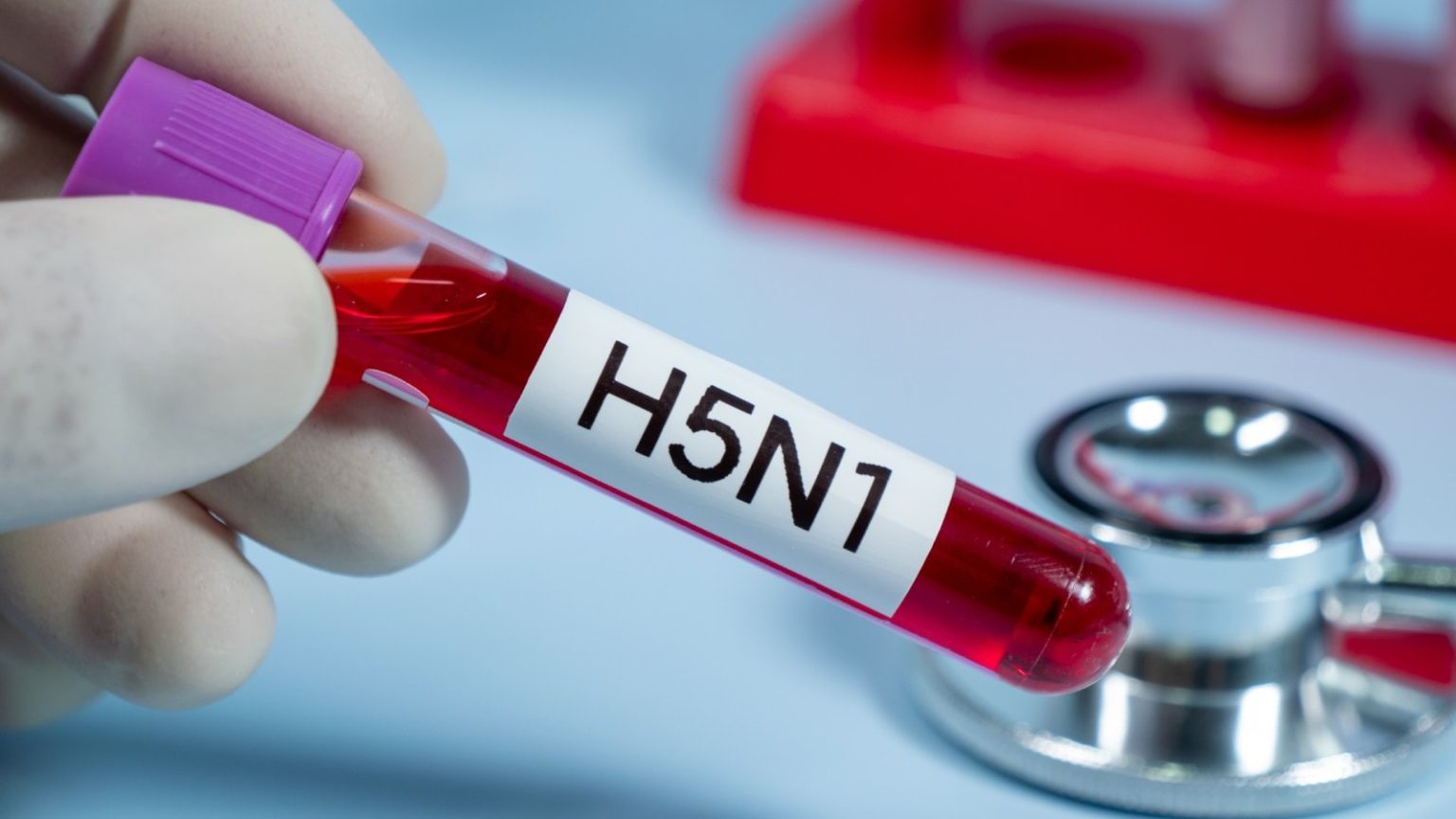 First bird flu death reported in US: What is it and how to prevent it?