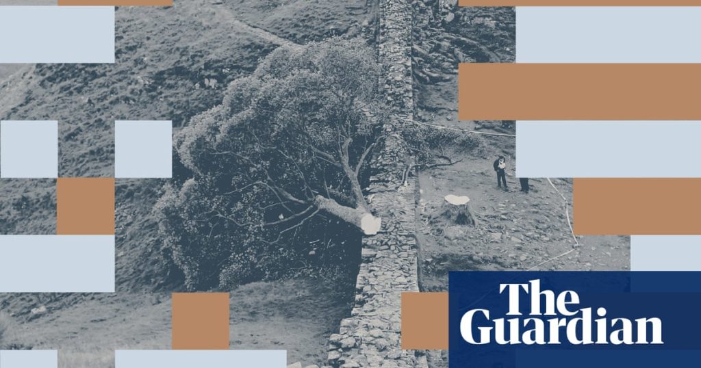 There’s no excuse for chopping down a thing of beauty. And I don’t just mean the Sycamore Gap tree