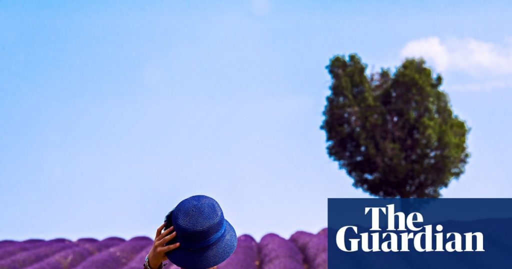 Holiday horrors: Airbnb and Booking.com users battle for refunds as stays go wrong