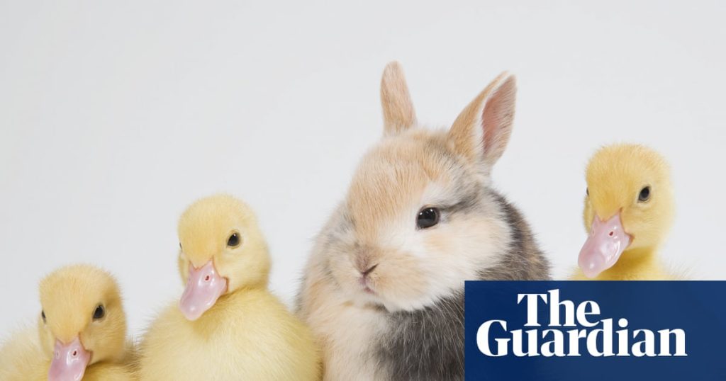 Feeling out of place? How to beat impostor syndrome