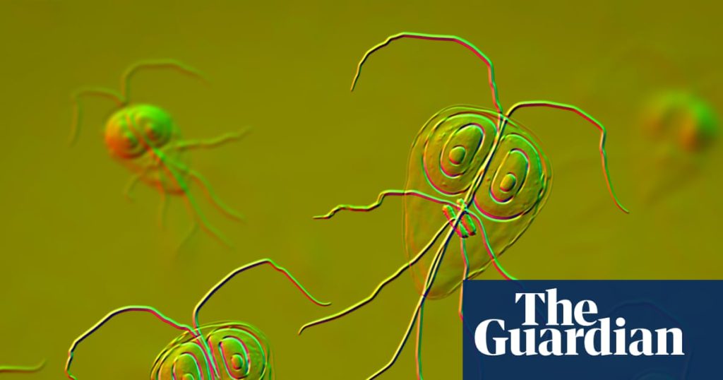 Parasite cleanses: why are so many people obsessed with intestinal worms?