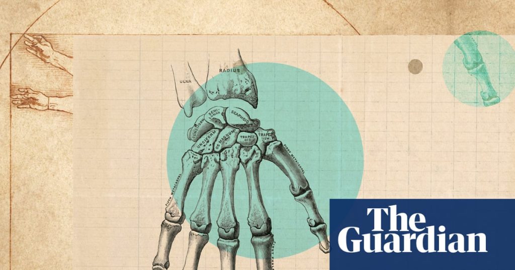 ‘It’s such a complex little area’: how to really look after your wrists