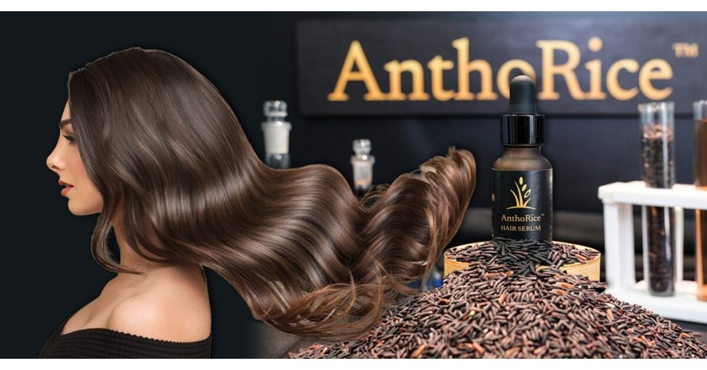 Chulalongkorn University Unveils AnthoRice Complex, A Breakthrough in Hair-Root Science