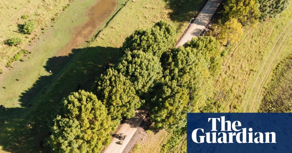 Canefields to ocean to rolling hills: vision splendid of 135km northern NSW rail trail short-changed
